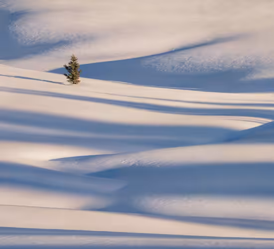 Light and Shadows in the winter in the Canadian Rockies