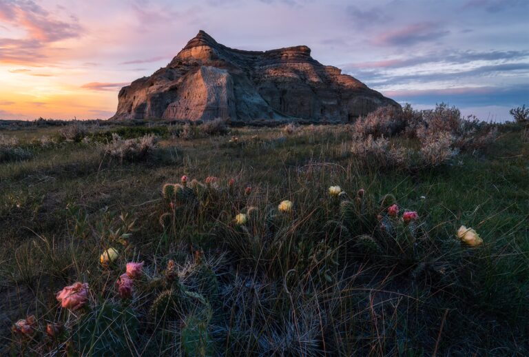 A landscape photograph of Saskatchewan icon Castle Butte during sunset