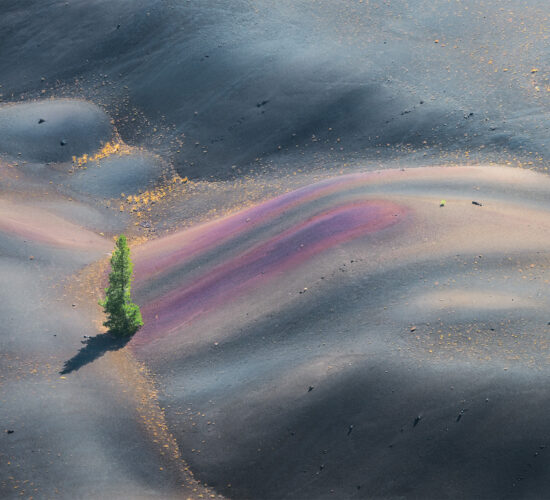 An intimate landscape photograph of the Painted Dunes in Lassen Volcanic Park with a lone pine tree