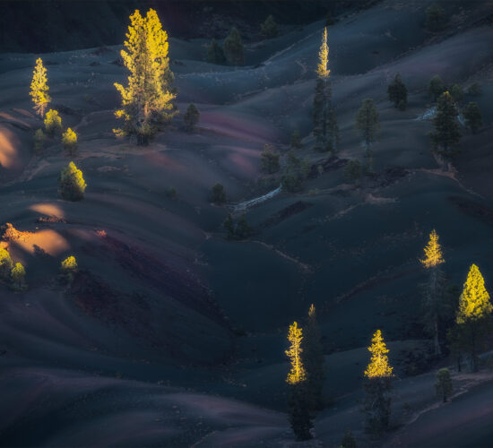 An intimate landscape photograph of light skimming the top of the pine trees on the Painted Dunes in Lassen Volcanic Park